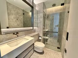 Cuscaden Reserve (D10), Condominium #503159631